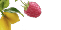 bg_page_title1